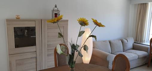 Vakantieappartement voor 6 Personen in Antwerpen, Antwerpen en omgeving, Afbeelding 2