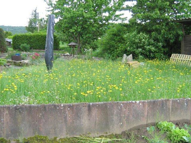 Ganze Ferienwohnung, Appartement Guilliard in Odernheim am Glan, Pfälzer Bergland