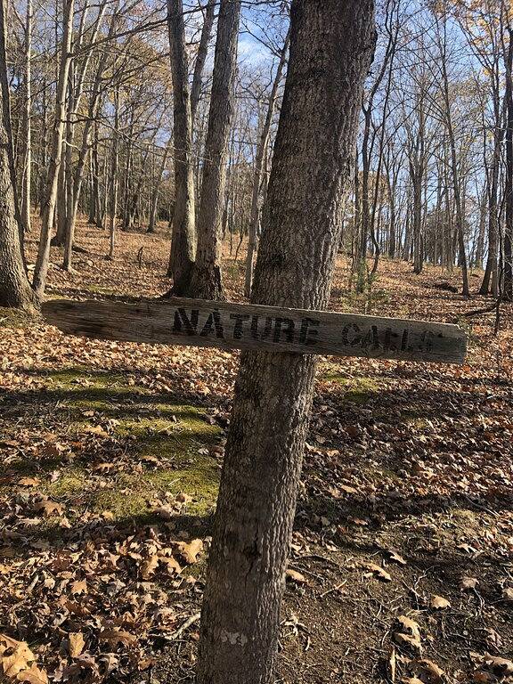 High View Hideaway - Ein gemütliches Verlorene River Cabin Escape - Neu renoviert! in Seneca Rocks