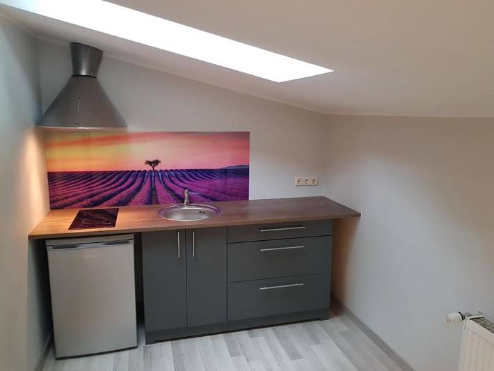 Maison d’hôte pour 2 personnes, avec jardin à Riga - 4