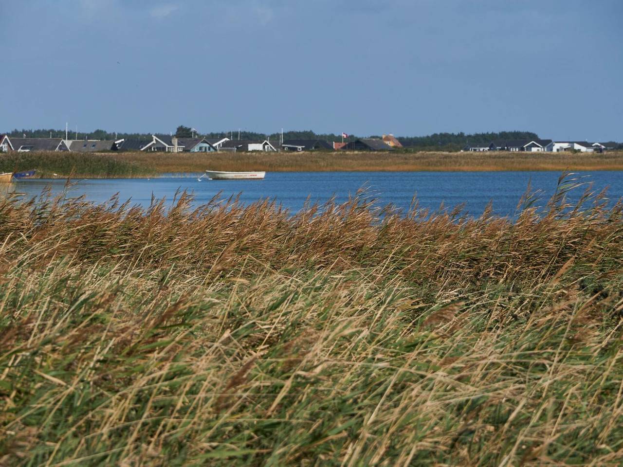 Golfudsigt tilflugt in Vrist, Lemvig Kommune