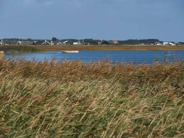 Ferieudlejning til 8 Personer i Harboøre, Vesterhavet, Billede 3