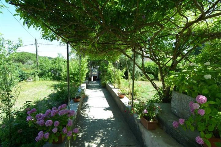 Ganze Wohnung, Gemütliches Apartment mit 2 Schlafzimmern, haustierfreundlich für 4 Gäste in Veli Losinj, Lošinj (Kvarner Bucht)