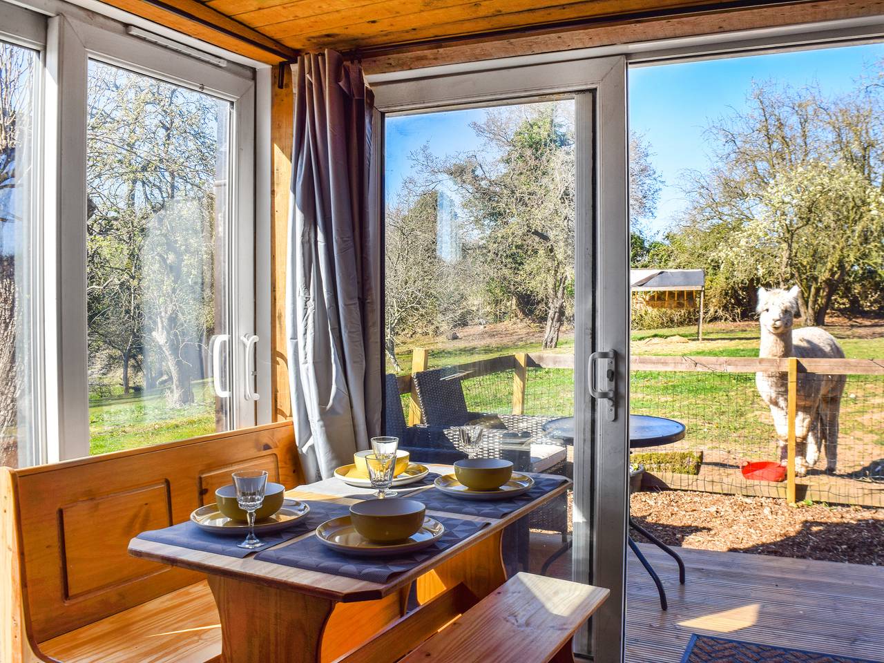 Alpaca Lodge in Dutton, Cheshire West and Chester