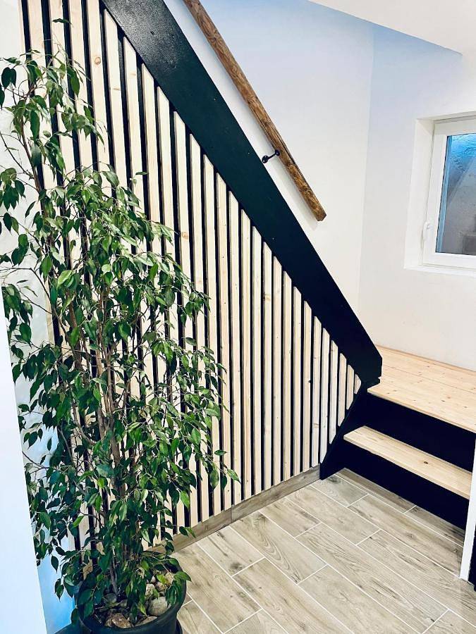 Gîte pour 4 personnes, avec terrasse et jacuzzi dans Obenheim - 2