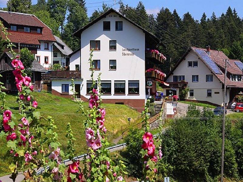 Pension für 2 Personen in Todtmoos, Hochschwarzwald