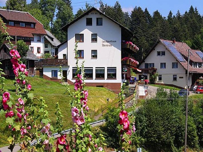 Pension für 2 Personen, mit Haustier - 1