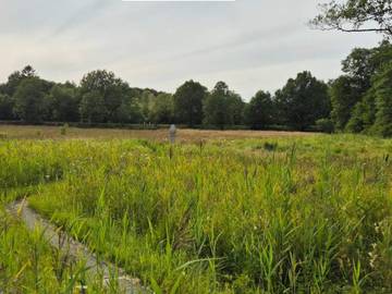 Vacation Rental for 4 Guests in Vejen, Picture 4