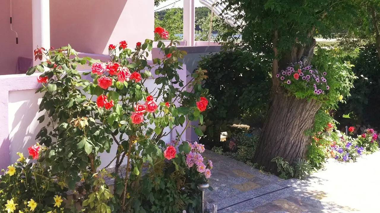 Appartamento vacanze a Rab a partire da 155€ a notte