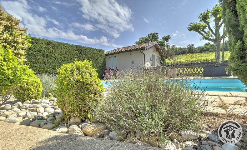 Gîte pour 4 personnes, avec jardin et piscine, animaux acceptés à Pommiers - 3