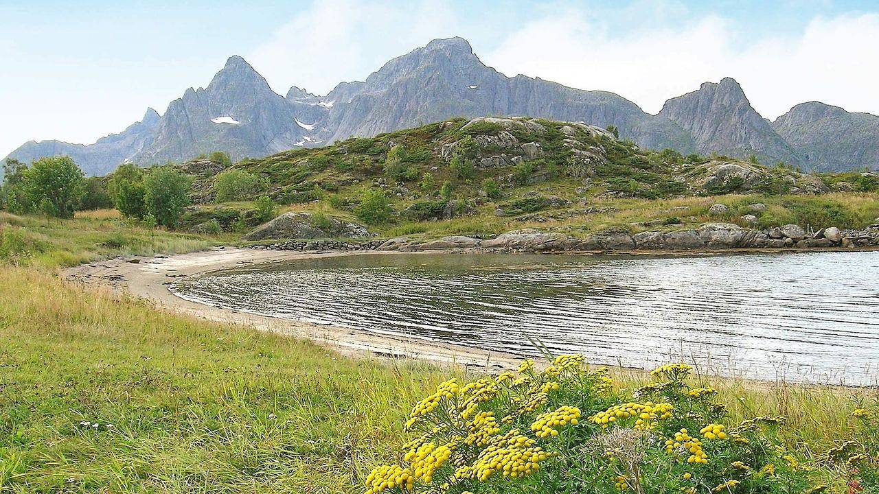 Appartement de vacances entier, Ferienwohnung für 5 Personen (70 m²) in Digermulen in Vågan