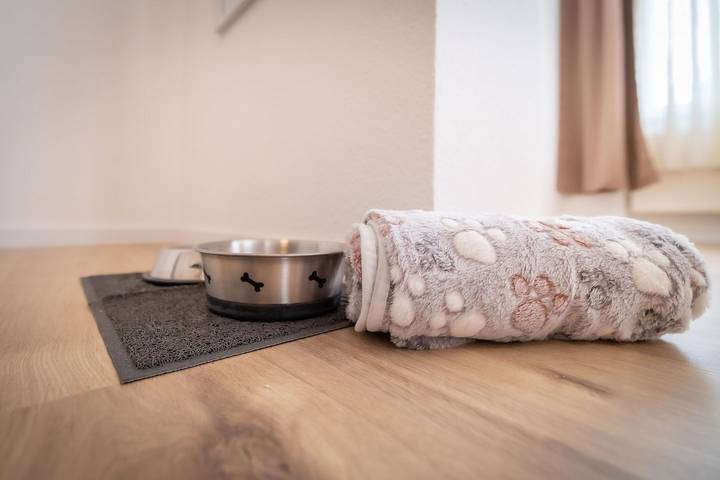 Ferienwohnung für 3 Personen, mit Garten und Ausblick in Thiessow - 4