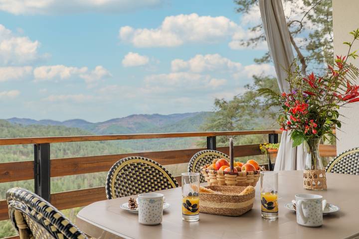 Chalet pour 14 personnes, avec jardin dans le Gard - 3