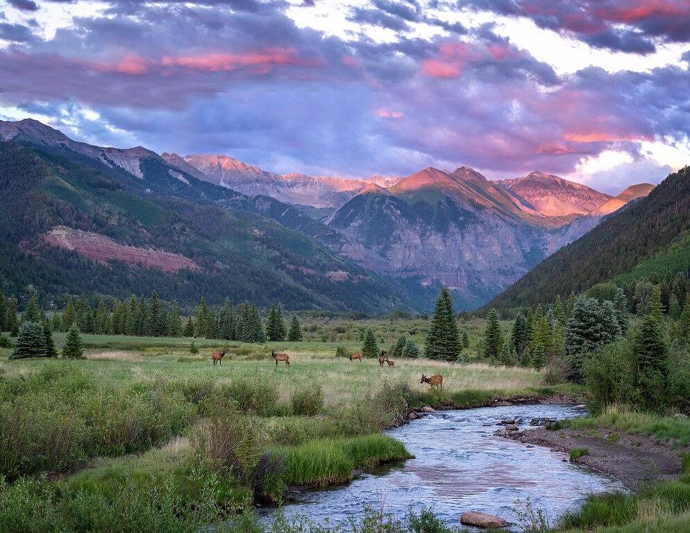 Ganze Wohnung, Ski-In /Ski-Out Serenity at Cimarron Lodge! Hot Tub, Parking in Telluride, Telluride Ski Resort