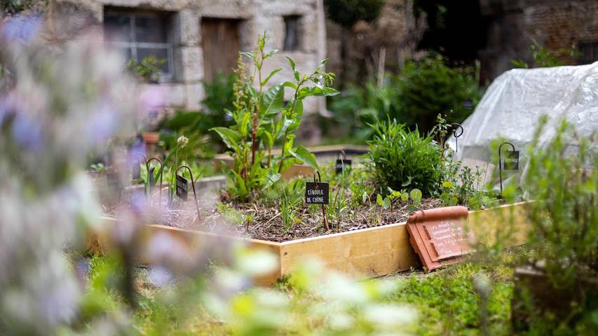 Location de vacances pour 2 personnes, avec jardin à Poitiers - 2