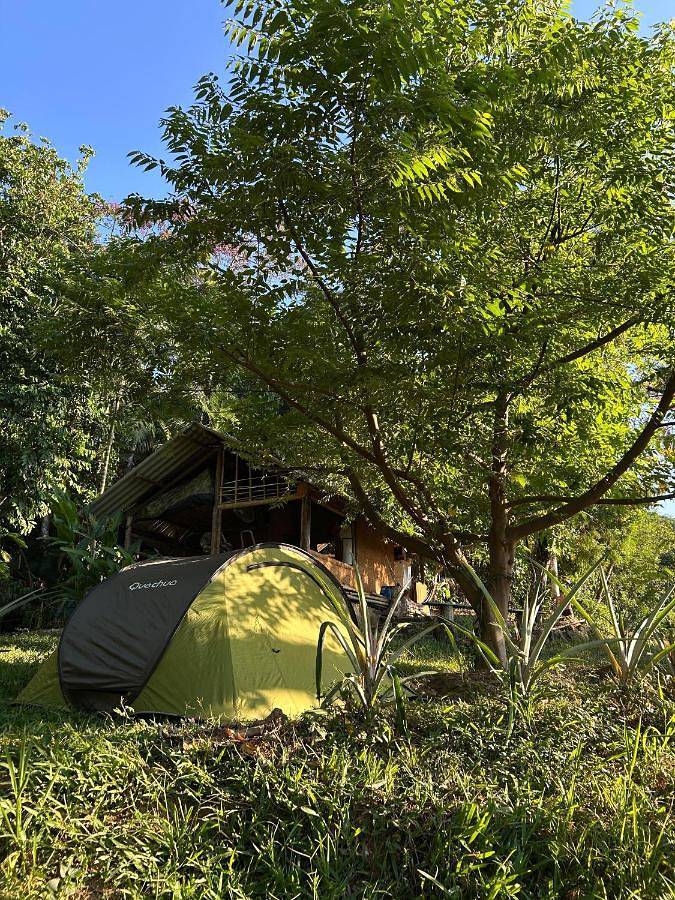 Casas e apartamentos de temporada para 2 pessoas, com vista e jardim, com animais de estimação em Mangaratiba