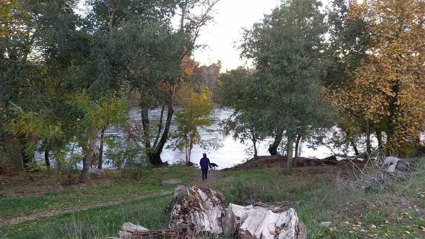Location de vacances pour 5 personnes, avec jardin et terrasse, adapté aux familles à Chandolas - 4