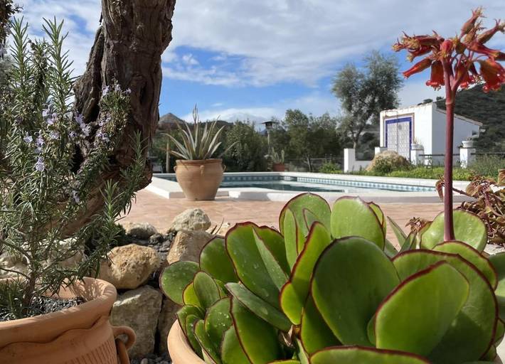 Casa rural para 2 personas, con jardín además de vistas y piscina en Álora - 3