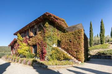 Villa per 8 Persone in Gaiole in Chianti, Chianti, Foto 4