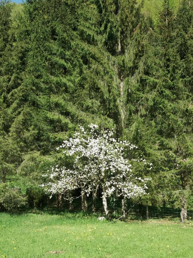 La Remise à Polyte in Sancey - Belleherbe, Doubs (desambiguación)