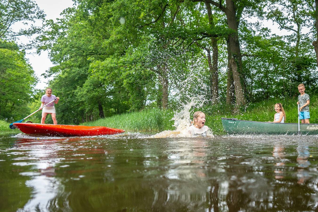 Landal Landgoed De Elsgraven — 4-persoons bungalow in Enter, Twente