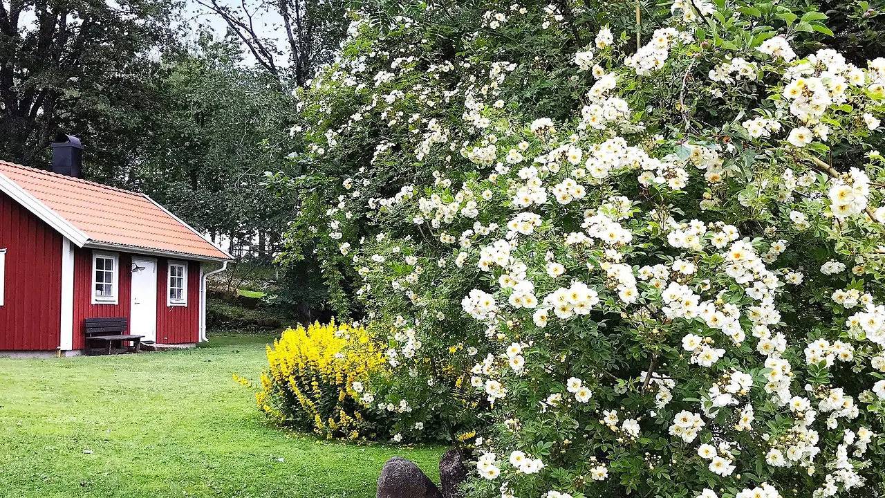 Casa vacanza a Västergötland a partire da 50€ a notte