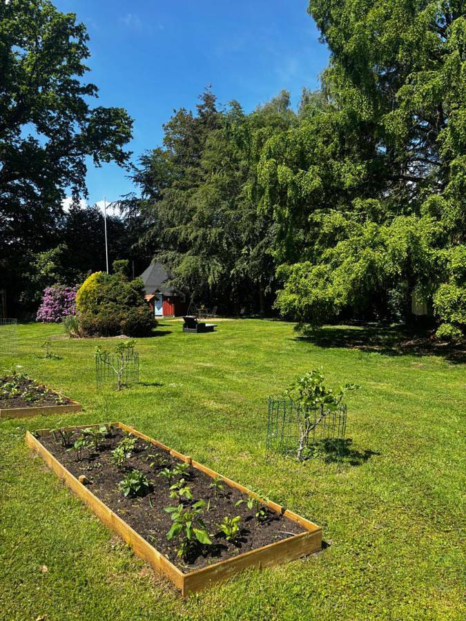 Ferienwohnung für 3 Personen, mit Terrasse und Garten sowie Sauna und Ausblick in Bourtanger Moor - 2