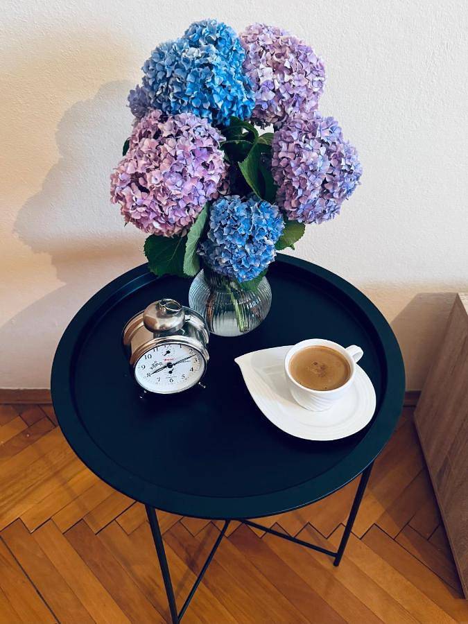 Maison d’hôte pour 2 personnes, avec jardin et vue dans Tivat - 2