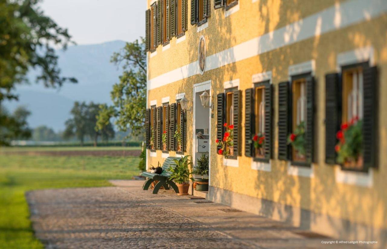Cały apartament, Weslhof in Attersee am Attersee, Attergau