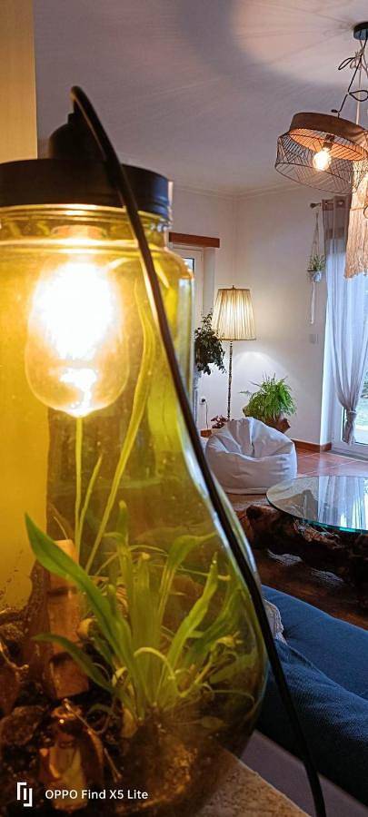 Gîte pour 2 personnes, avec piscine et vue ainsi que jardin et vue sur le lac dans Sernancelhe - 4