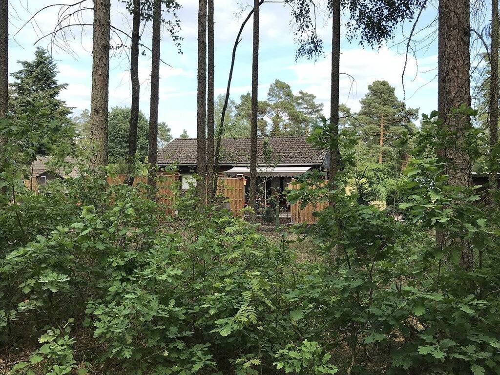 Ganze Wohnung, Märchenwald mit Pool und Sauna Waldrandlage in Hambühren, Aller-Leine-Tal