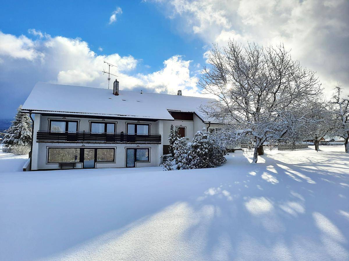 Pension Schneider - Balkonzimmer Fini in Frauenau, Šumava Mountains