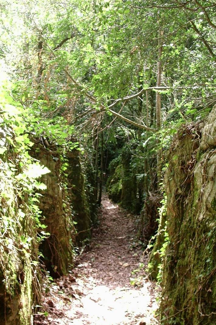 Location de vacances pour 4 personnes, avec jardin et piscine, animaux acceptés à Sonnac-sur-l'Hers - 2