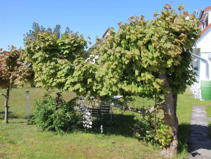 Ferienwohnung für 2 Personen, mit Garten auf Hiddensee - 4