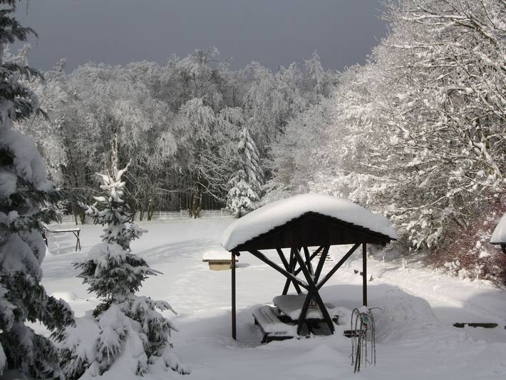Hotel für 2 Personen, mit Garten, kinderfreundlich in Friedrichsbrunn - 4