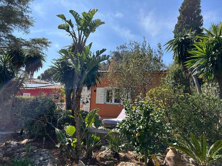 Finca mit Pool für 4 Personen, mit Terrasse und Garten sowie Ausblick in Cala Ratjada - 2