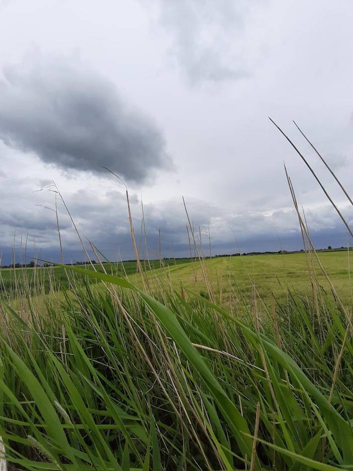 Ganze Wohnung, Neu! Ferienwohnung Zur Pusteblume in Sande, Südliche Nordseeküste