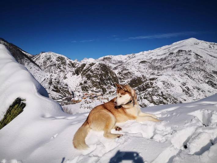 Casa rural para 4 personas, con terraza y vistas, Se admiten mascotas en Parque Nacional de Los Picos de Europa - 2