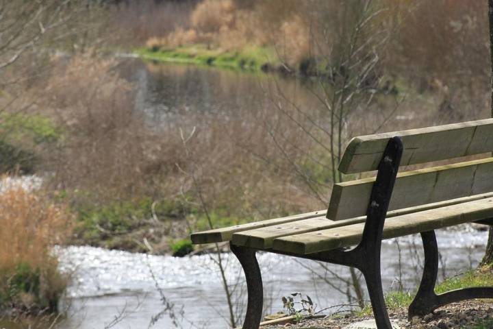 Location de vacances pour 6 personnes, avec jardin et vue à Saint-Didier-sur-Chalaronne - 4