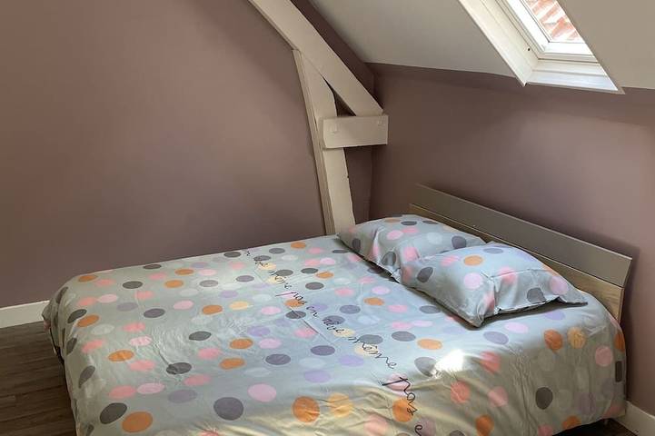 Gîte pour 7 personnes, avec terrasse et jardin, animaux acceptés à Saint-Martin-le-Gaillard - 3