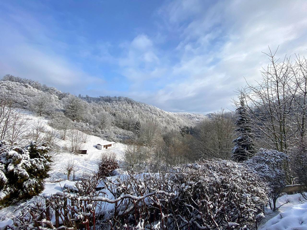 Ganze Ferienwohnung, Das grüne Haus am Hexenstieg - Fw Spatzennest mit einem Schlafzimmer in Neuwerk (Harz), Rübeland