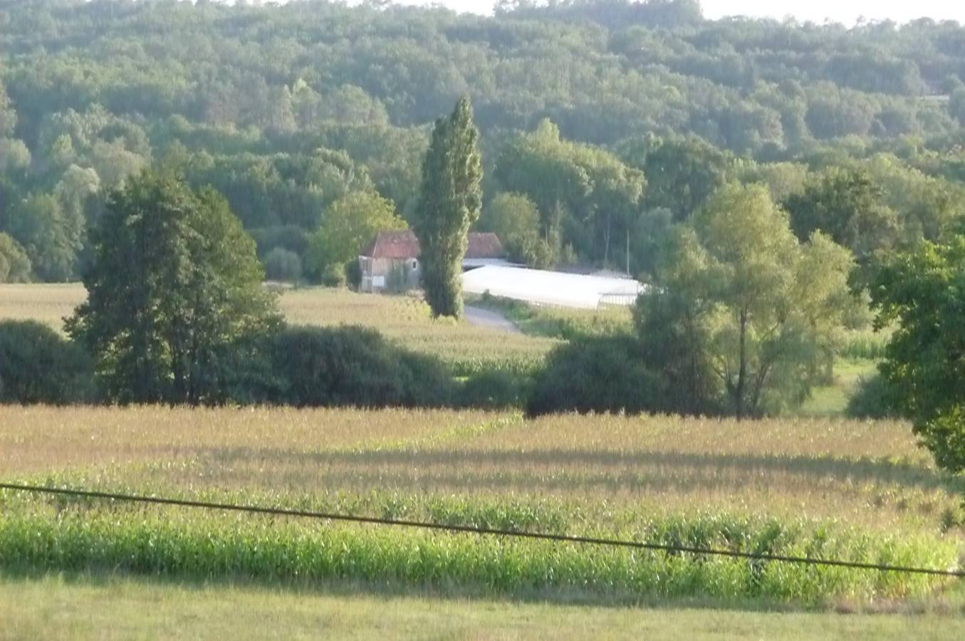 Nicotiana in Fajoles, Quercy
