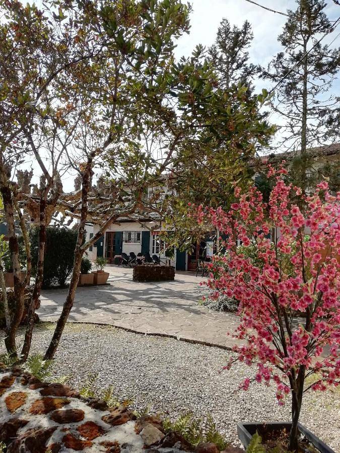 Hôtel pour 2 personnes, avec Terrasse et Jardin à Lugos