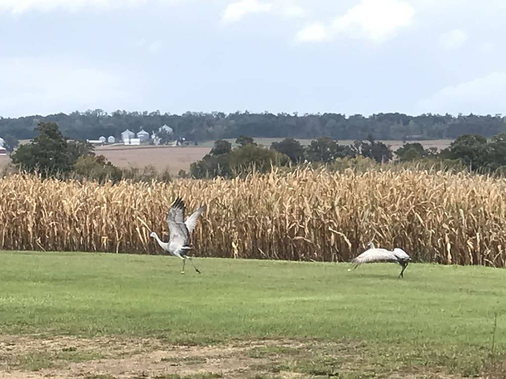 Restored Farmhouse Close to Wi Dells in Adams County (WI)