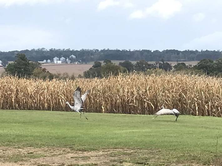 Agriturismo für 9 Personen, mit Garten - 1