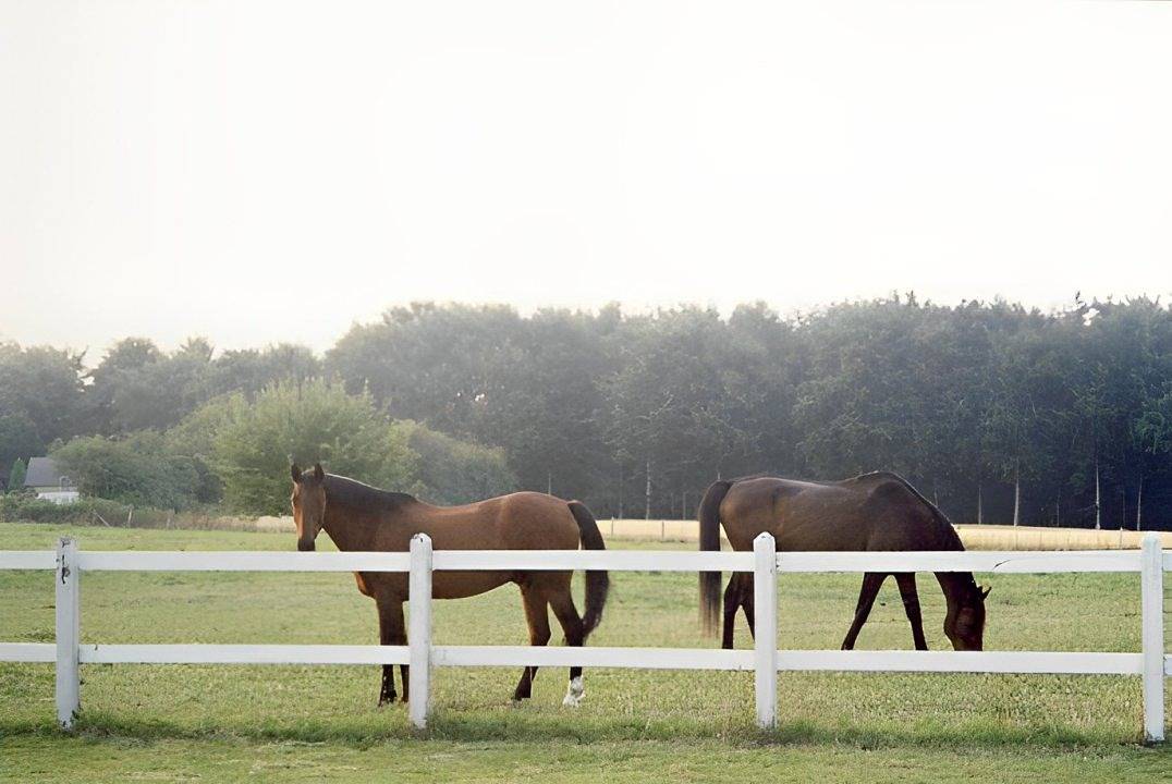Le Lézard tranquille - Domaine de la Bourbansais - Chambre 1 in Pleugueneuc, Région de Saint-Malo
