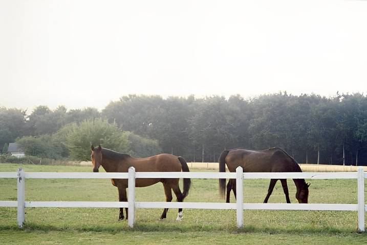 Chambre d’hôte pour 2 personnes, avec jardin en Ille-et-Vilaine - 2