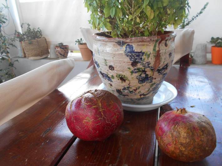 Maison d’hôte pour 2 personnes, avec Balcon et Terrasse ainsi que Jardin et Vue dans Patmos