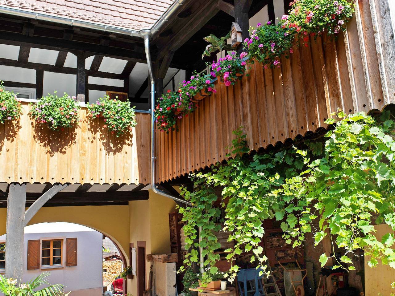 Ganze Ferienwohnung, Romann - Romann in Britzingen, Müllheim