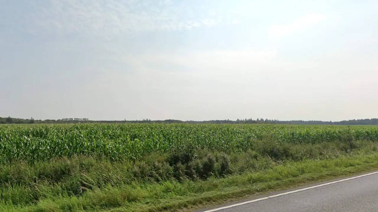 Ferienhaus für 4 Personen (70 m²) in Grenaa in Skærbæk, Wadden Sea National Park